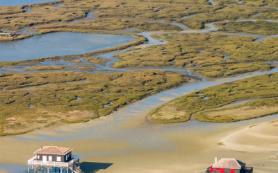 Plongée dans le charme des cabanes tchanquées du bassin d’arcachon