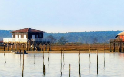 Cabanes tchanquées joyaux intemporels du bassin d’arcachon