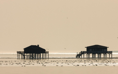 Les cabanes tchanquées du bassin d’arcachon, emblèmes maritimes et historiques