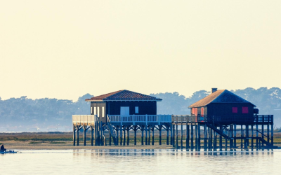 Cabanes tchanquées joyaux du bassin d’arcachon entre charme et enjeux