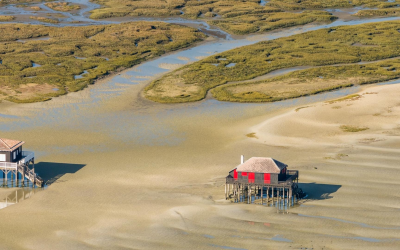 Cabanes tchanquées du Bassin d’Arcachon : silencieuses gardiennes nature et patrimoine